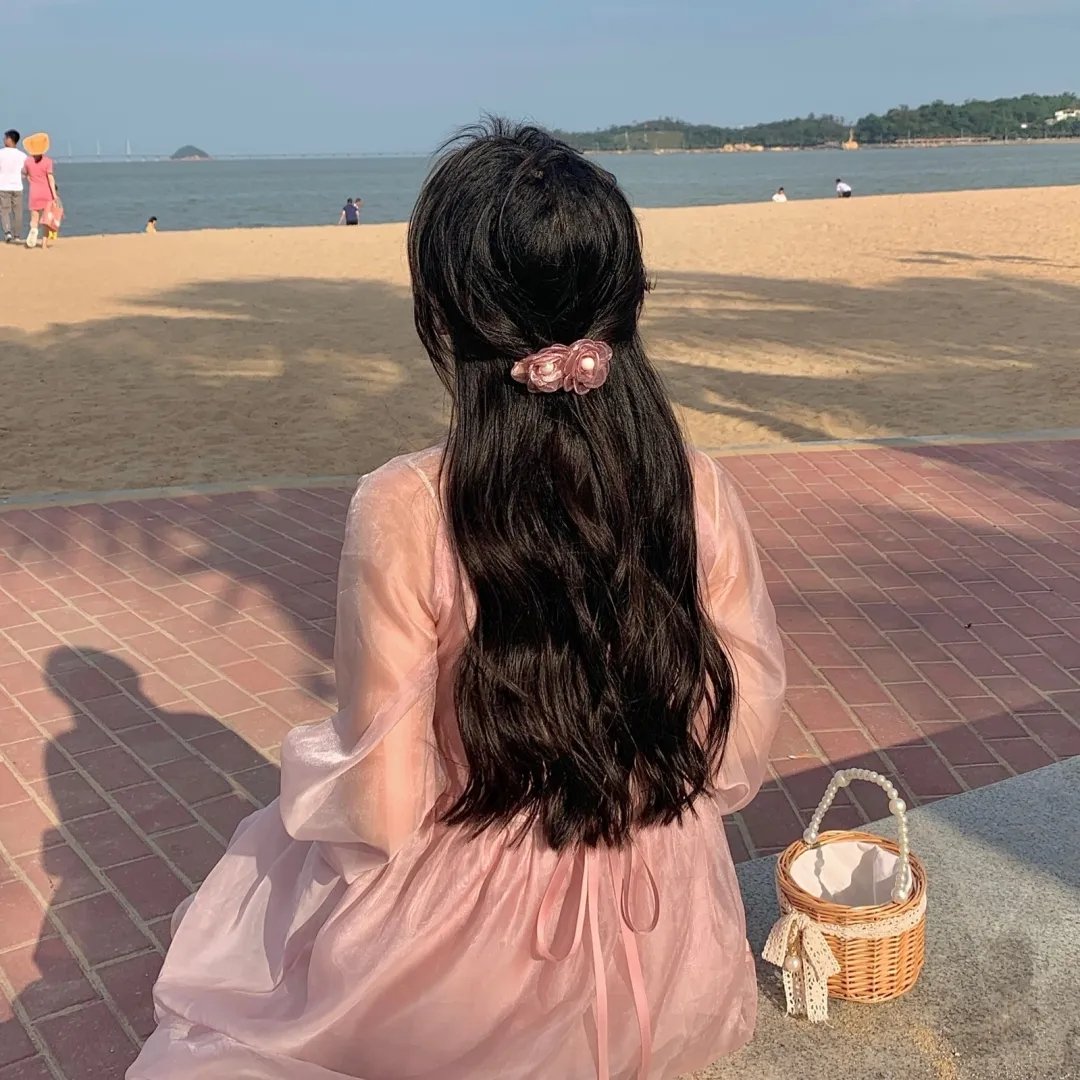 烟花女驼龙
